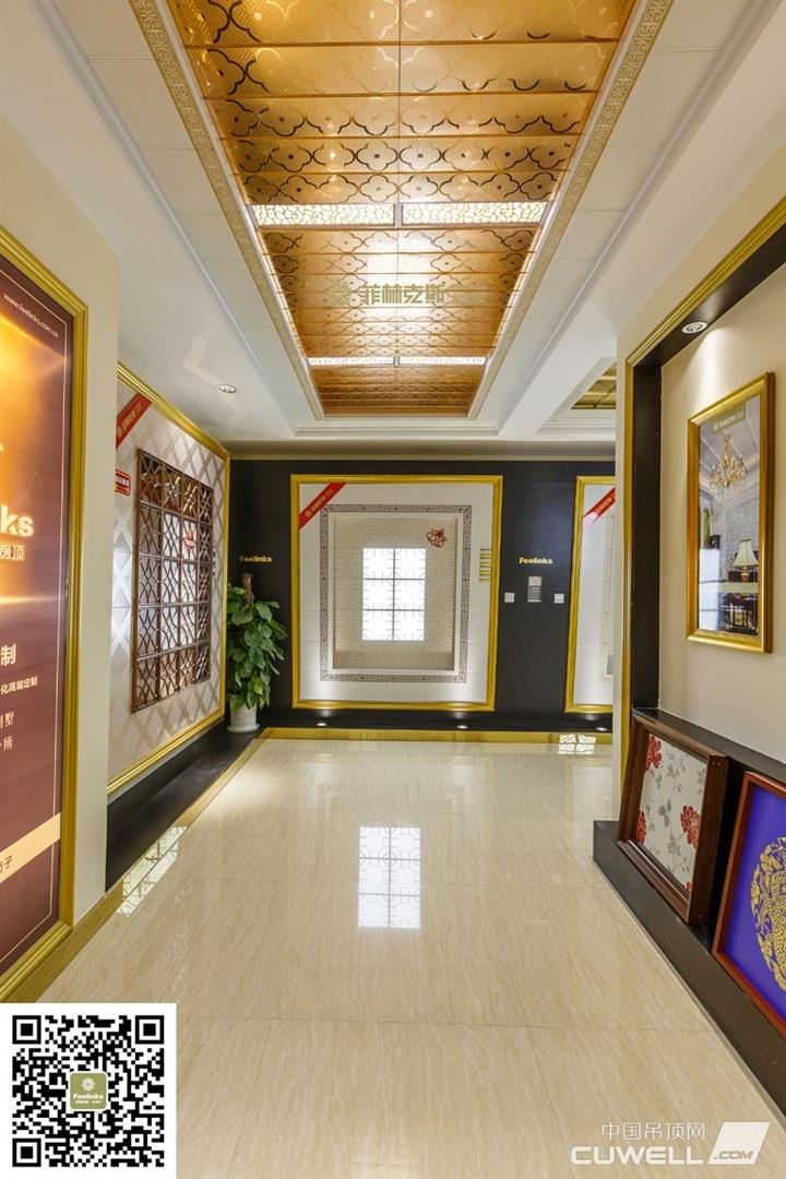 菲林克斯全房顶展厅实景图