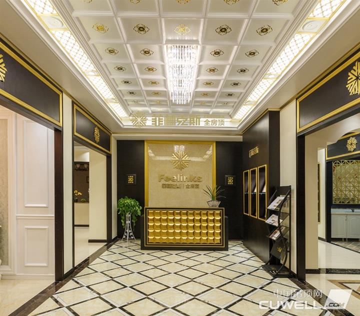 菲林克斯全房顶展厅实景图